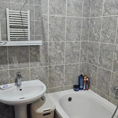 Aleksandra * 노비사드