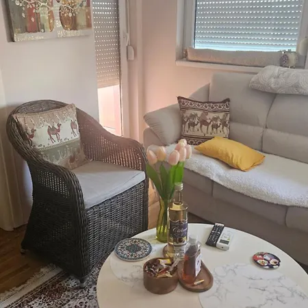 Aleksandra Apartamento *