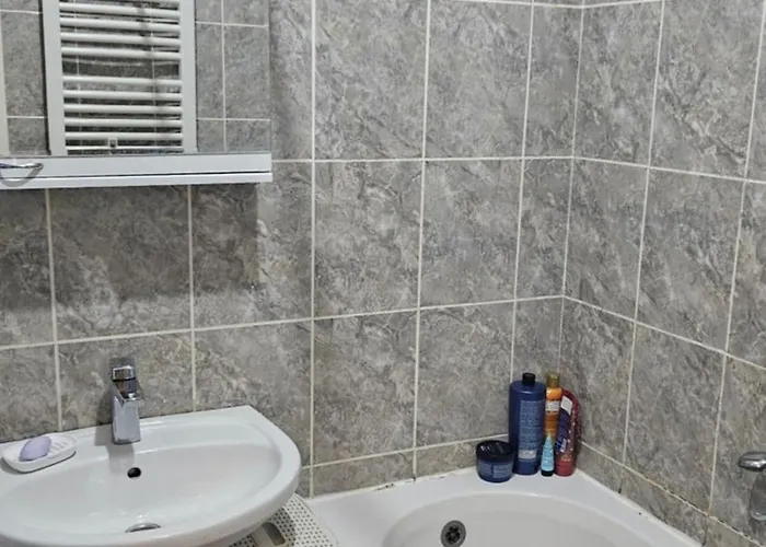 Aleksandra * 노비사드