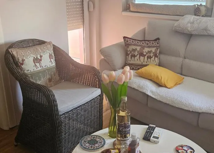 Aleksandra 아파트 *